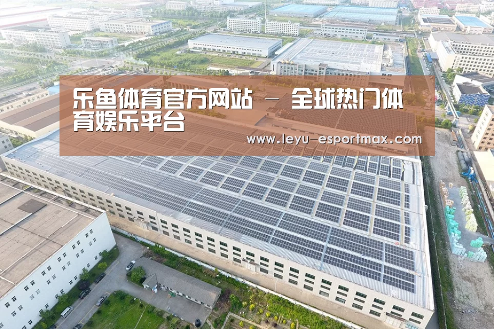 案例展示一