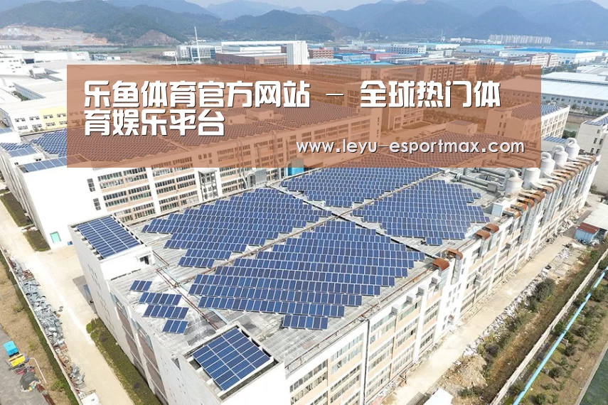 案例展示一