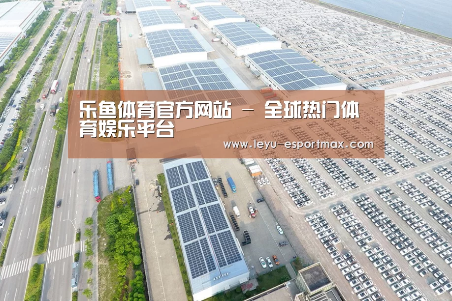 案例展示一