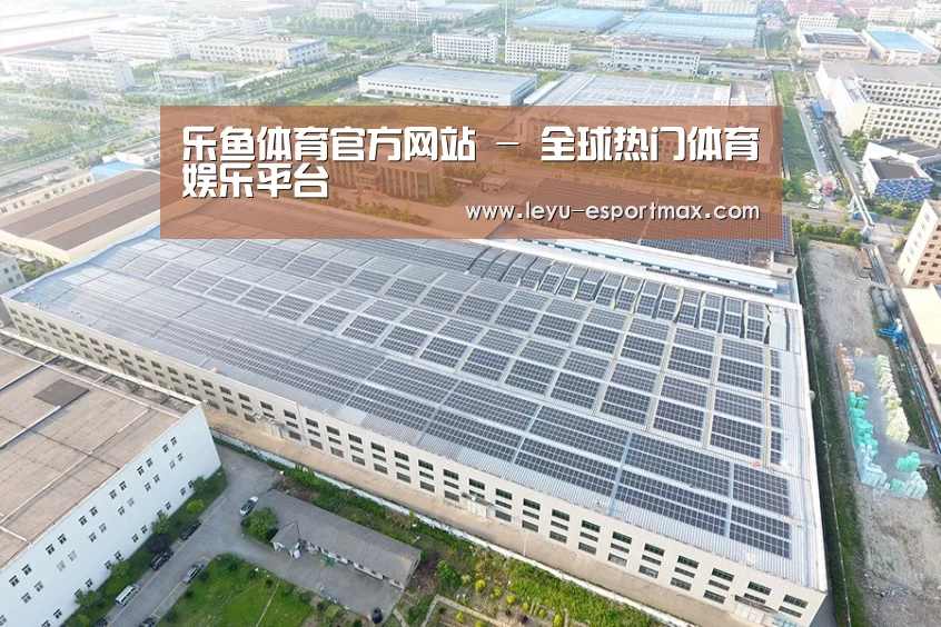 案例展示四