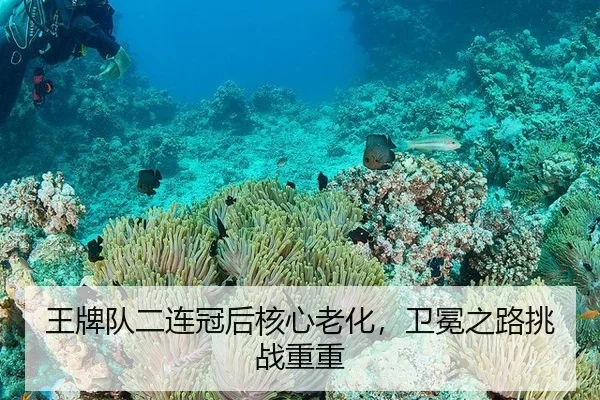 wang-pai-dui-er-lian-guan-hou-he-xin-lao-hua-wei-mian-zhi-lu-tiao-zhan-chong-chong-2-760.jpg