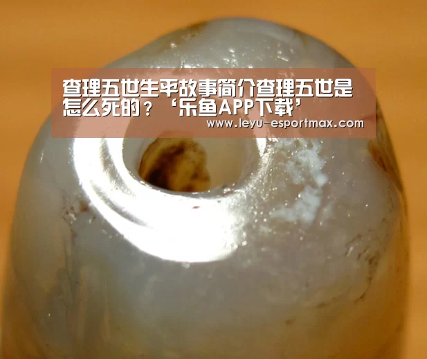 乐鱼体育官方网站