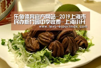 乐鱼体育官方网站-2019上海市民办新竹