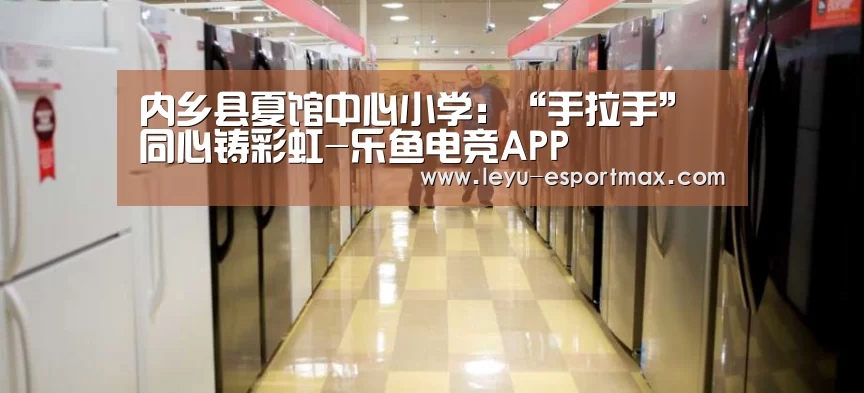 内乡县夏馆中心小学:“手拉手”同心铸彩虹-乐鱼电竞APP(图3) 乐鱼登录入口