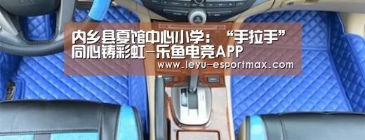 内乡县夏馆中心小学:“手拉手”同心铸彩虹